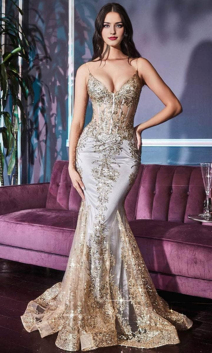 Spaghetti Straps Floor Length Backless V-Neck Glitter Lace Evening Gown