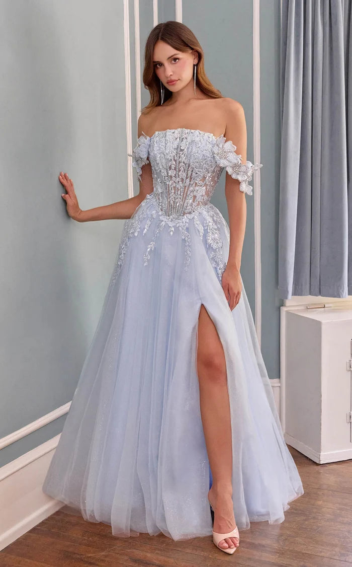 Sky Blue Glitter Tulle A-Line Off-the-Shoulder Lace-Up Back Floor-Length Dress