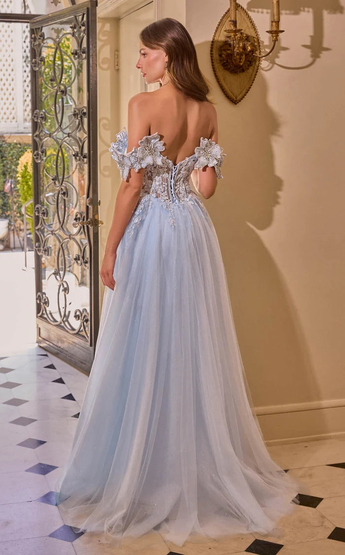 Sky Blue Glitter Tulle A-Line Off-the-Shoulder Lace-Up Back Floor-Length Dress