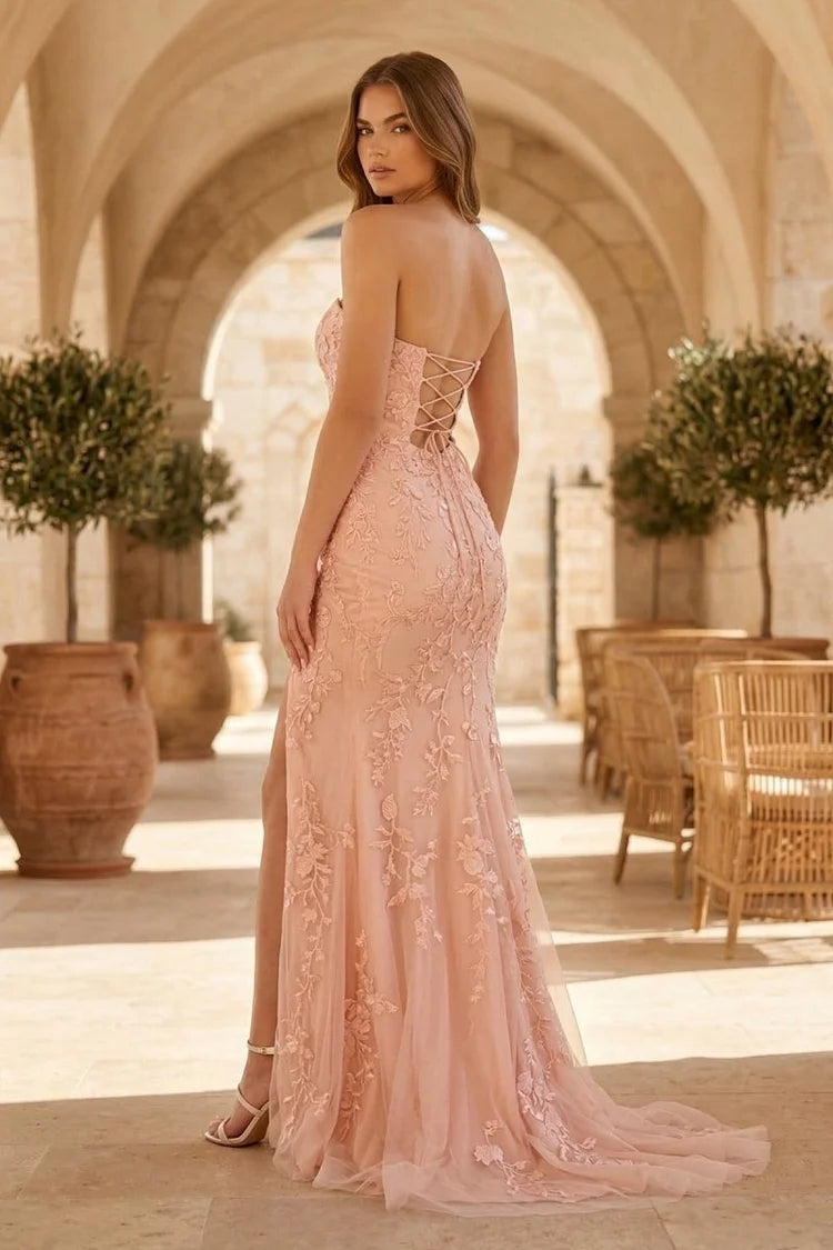 Blushing Pink Tulle & Lace A-Line Straight Across Floor-Length Dress