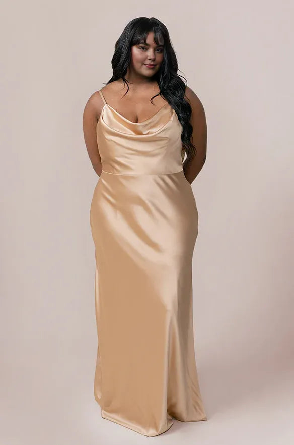 Beautiful Fitted A-line Cowl Neck Sleeveless Backless Floor-Length Prom Dress