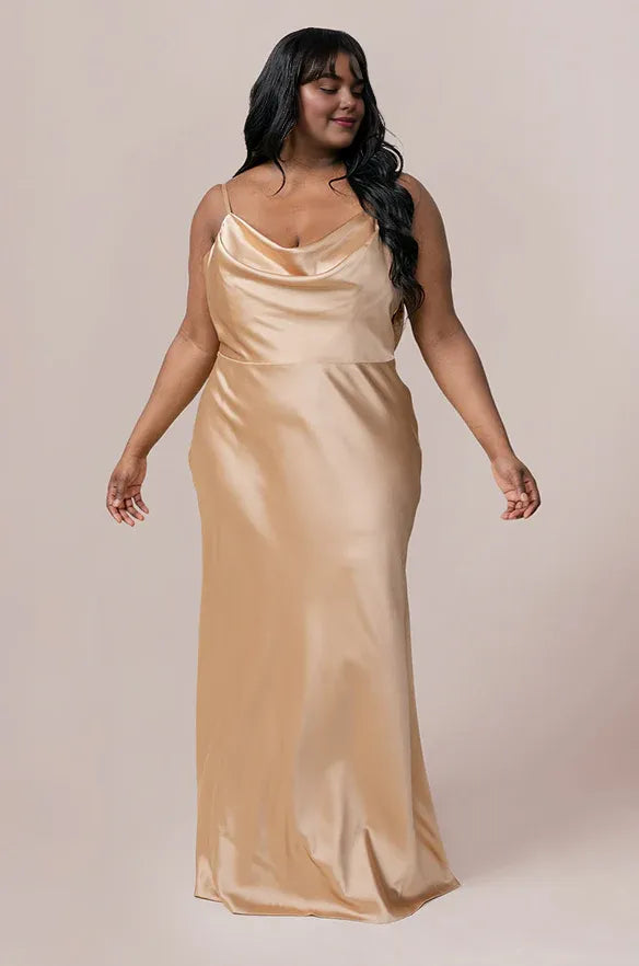 Beautiful Fitted A-line Cowl Neck Sleeveless Backless Floor-Length Prom Dress