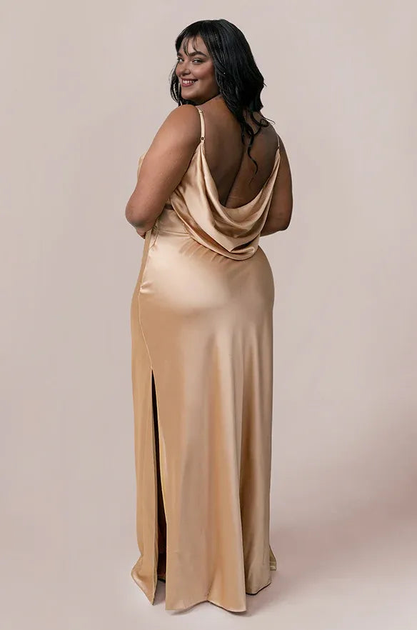 Beautiful Fitted A-line Cowl Neck Sleeveless Backless Floor-Length Prom Dress