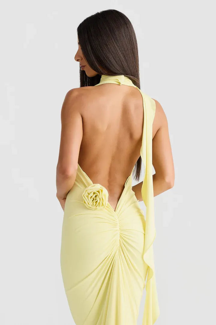 Budget Fitted V Neck Sleeveless Backless Floor-Length Prom Dress