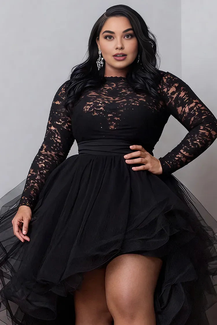 Elegant A-Line Round Neck Long Sleeve Ruffle Tulle Lace High Low Hem Plus Size Prom Dress