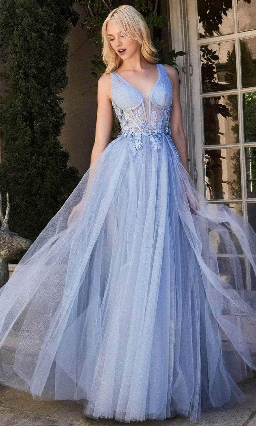 Formal Women's Dresses A-line/Princess Corset Bodice Tulle Prom Dress Sleeveless Applique Floor Length Prom Dress Prom Dress Shops