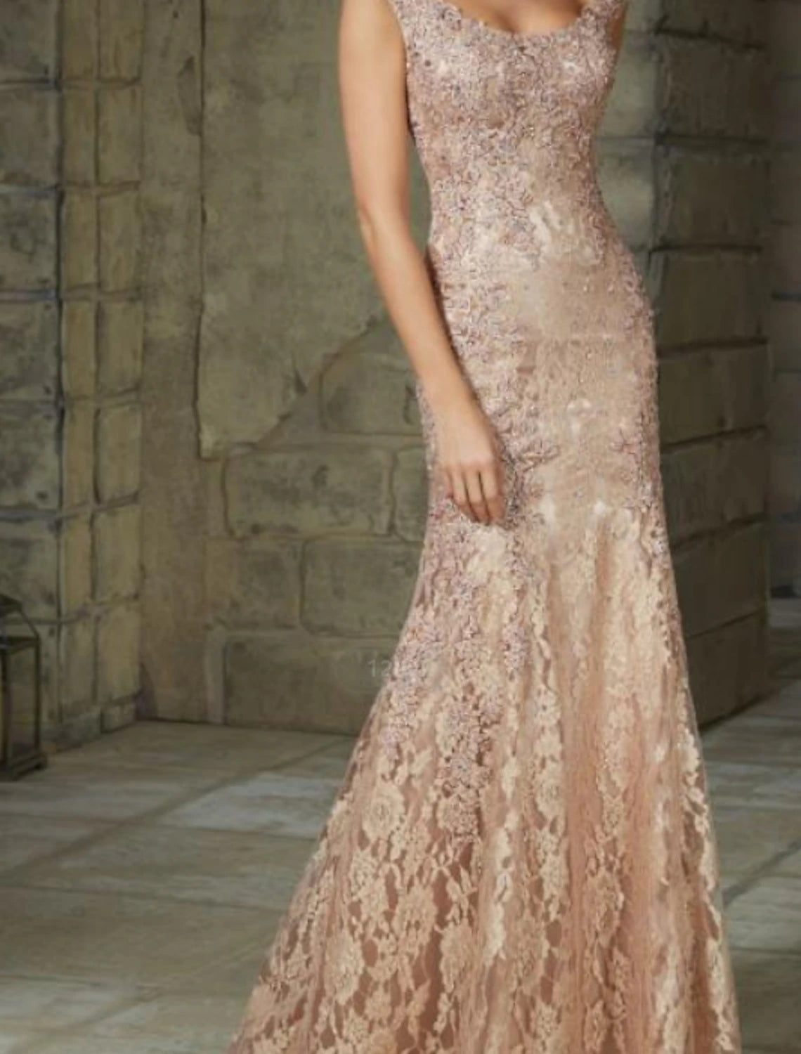 Back view of the elegant lace mermaid evening dress.
