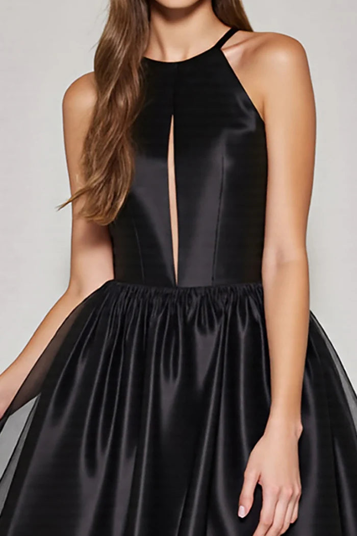 Weitese Dress Black A Line Halter Keyhole Short Homecoming Dress Sleeveless Backless Party Dress